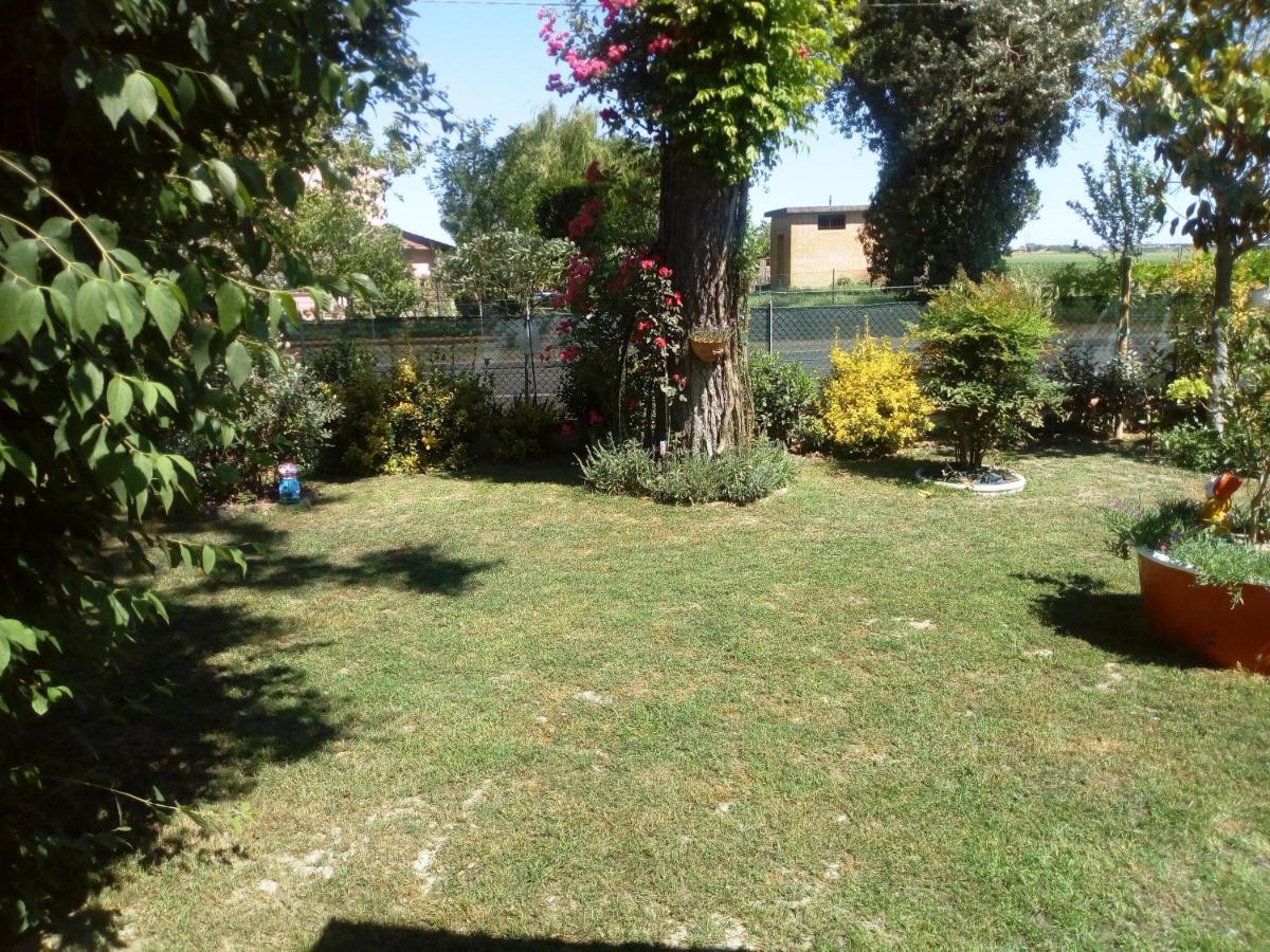 Homestay Casa Di Igor Casemurate