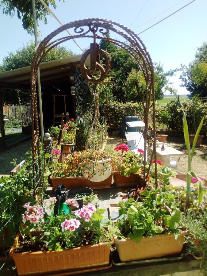 Homestay Casa Di Igor