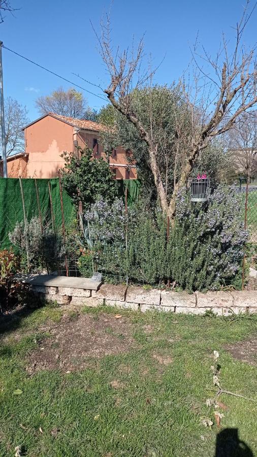Casa Di Igor Homestay