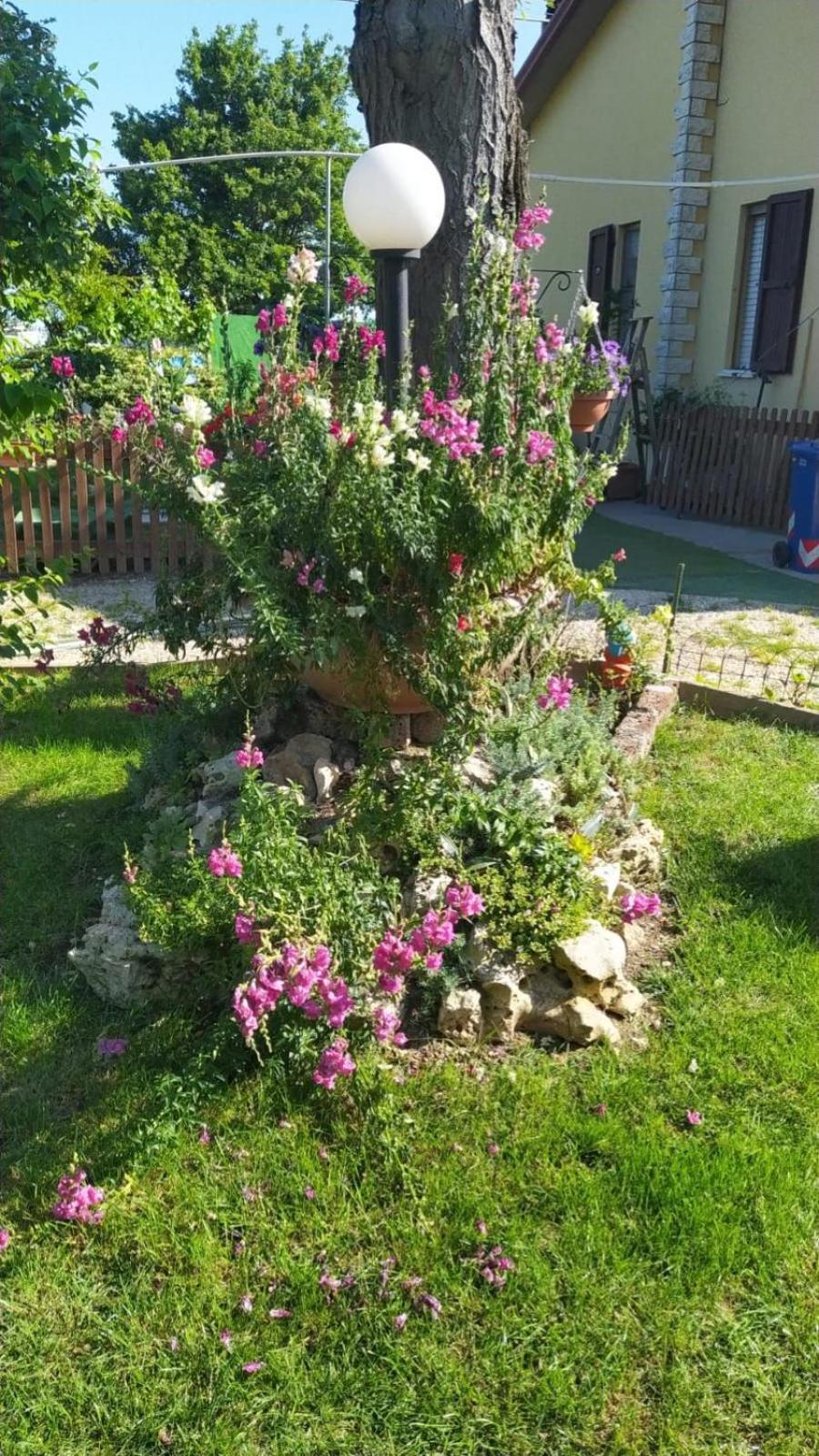 Casa Di Igor Homestay
